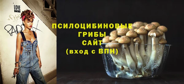 таблы Алзамай