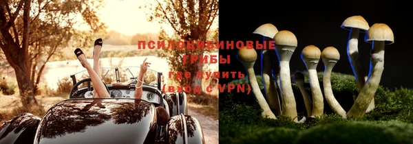 таблы Алзамай